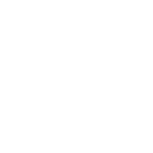 PT VIRGO KARYA SHIPPING